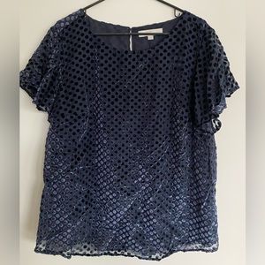 Loft Plus Velvet Tee